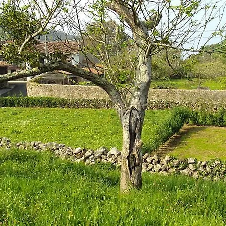 Дом отдыха San Juan De Duz, *