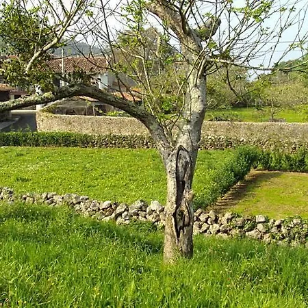 Holiday home San Juan De Duz, *