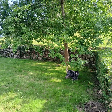 San Juan De Duz, Colunga